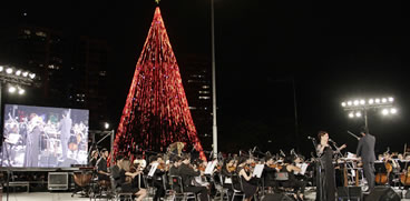 El Árbol de Navidad más grande brilla en Córdoba