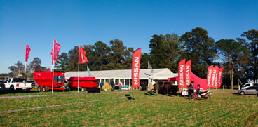 Remate Anual ANGUS & BRANGUS